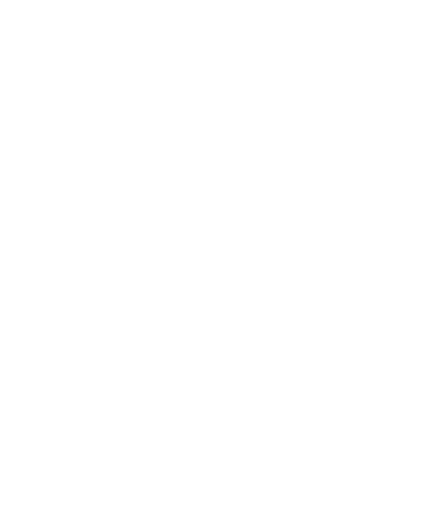 Safari Wallet Travel Calculator